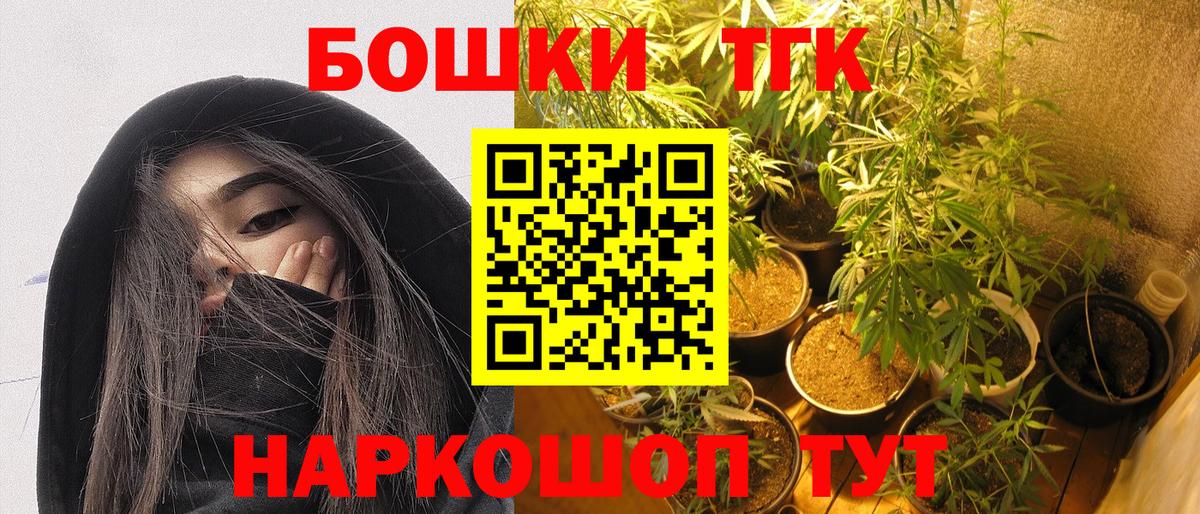 Сосновый Бор  Бошки Шишки OG Kush  Бошки Шишки план  Бошки Шишки конопля  Вход с VPN 